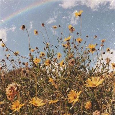 云开平台app最新版下载手机版