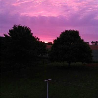 NG体育·(南宫)官方网站