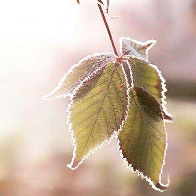 bd半岛·体育中国官方网站